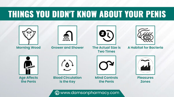 4. Things You Didn't Know About Your Penis.jpg